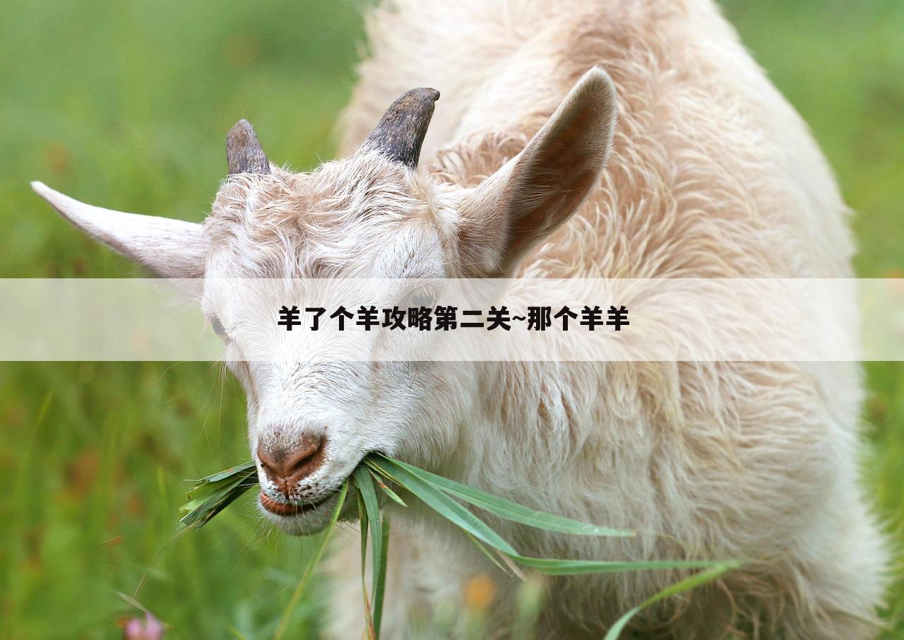 羊了个羊攻略第二关~那个羊羊
