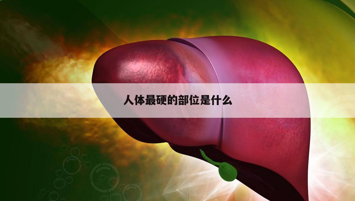 人体最硬的部位是什么