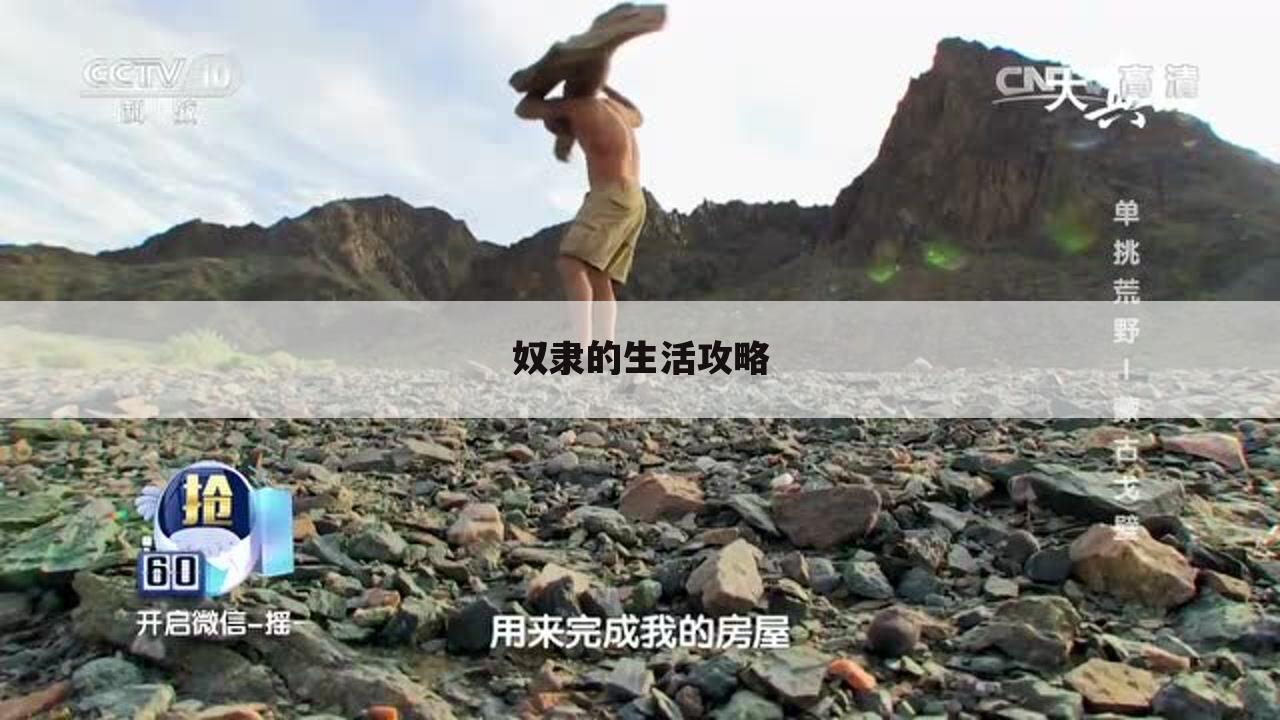 奴隶的生活攻略