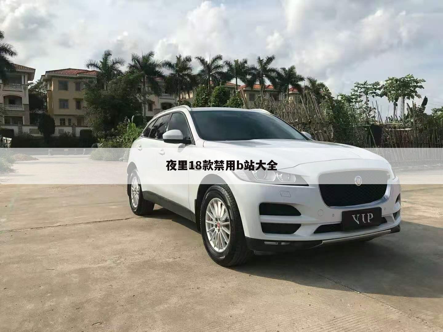 夜里18款禁用b站大全