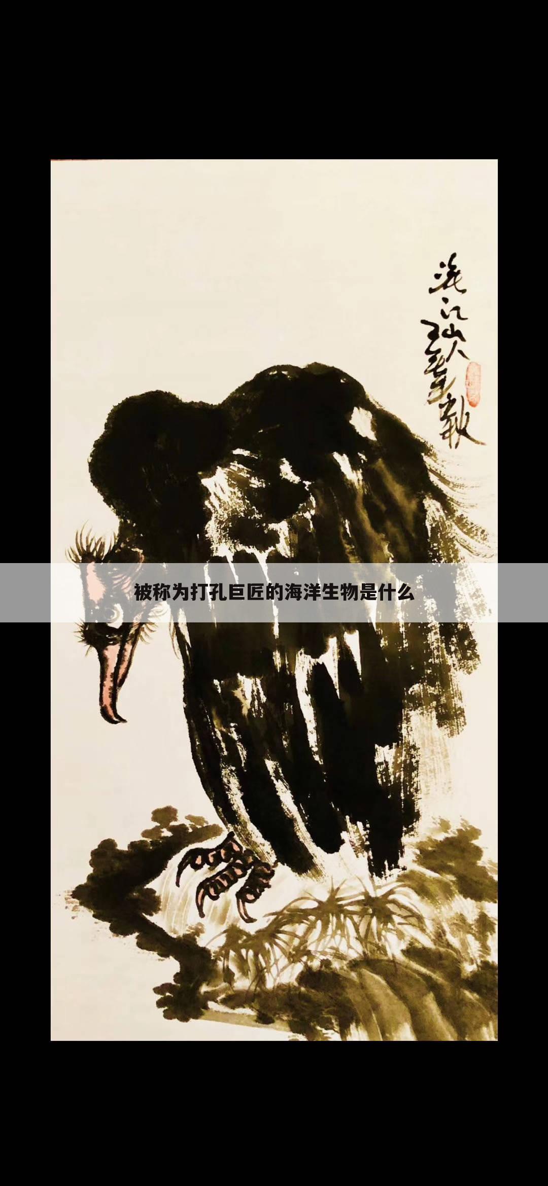被称为打孔巨匠的海洋生物是什么