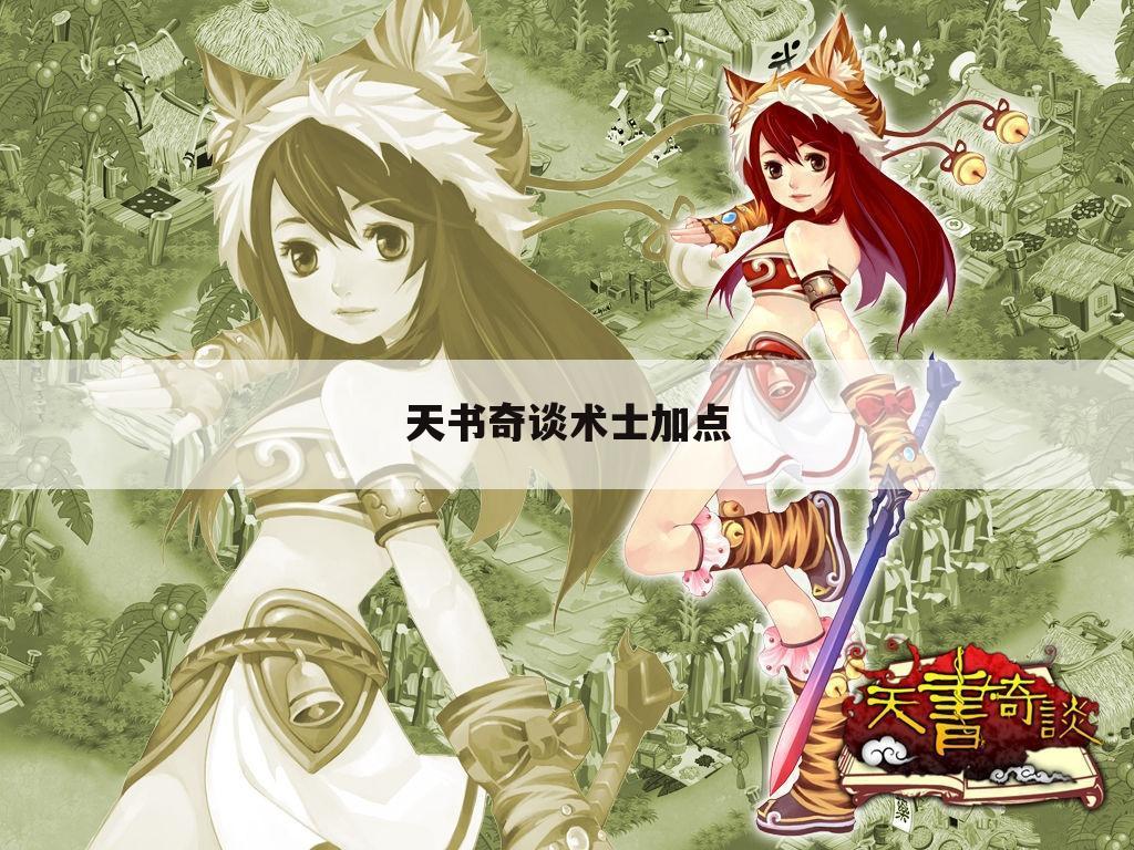 天书奇谈术士加点
