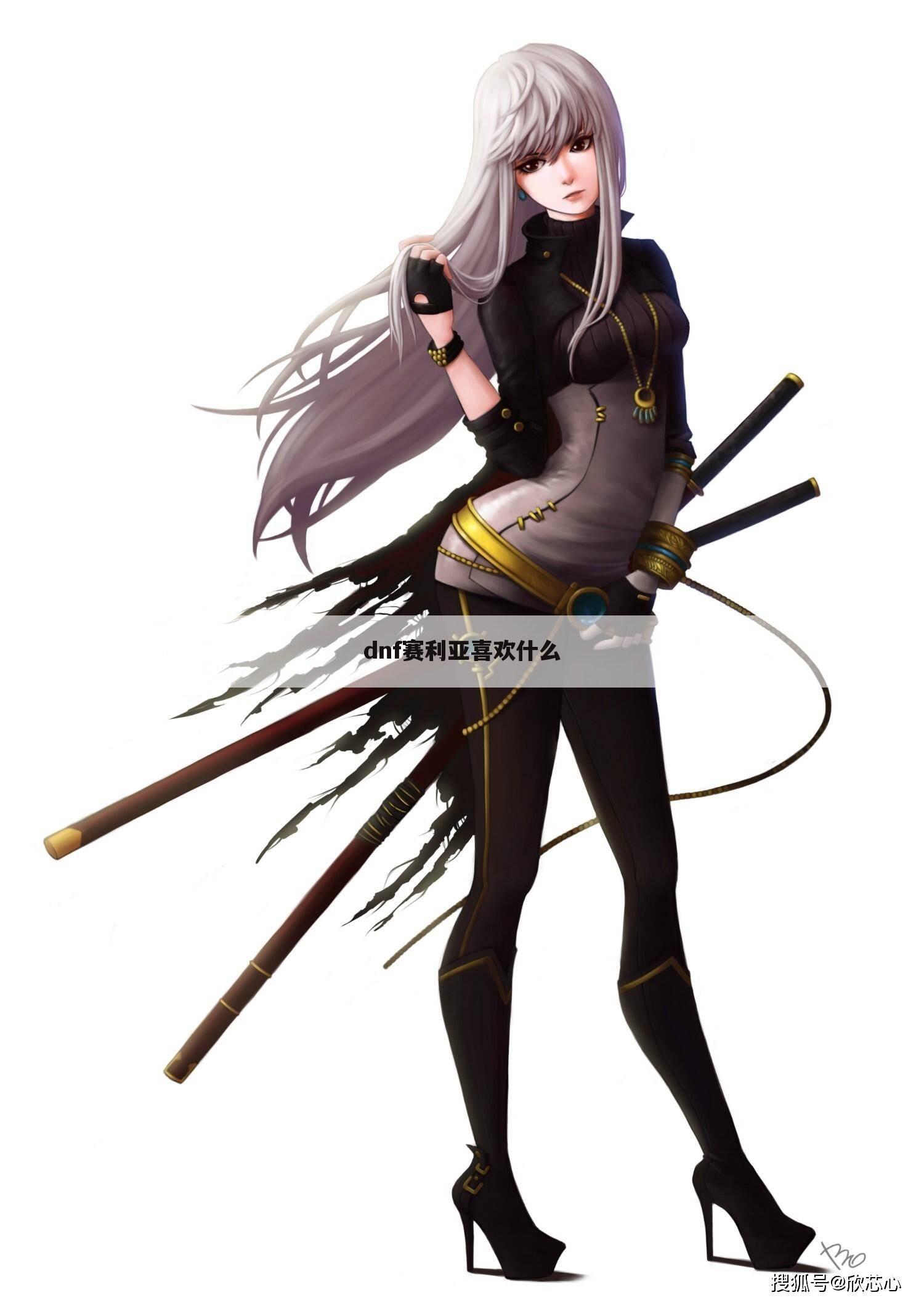 dnf赛利亚喜欢什么