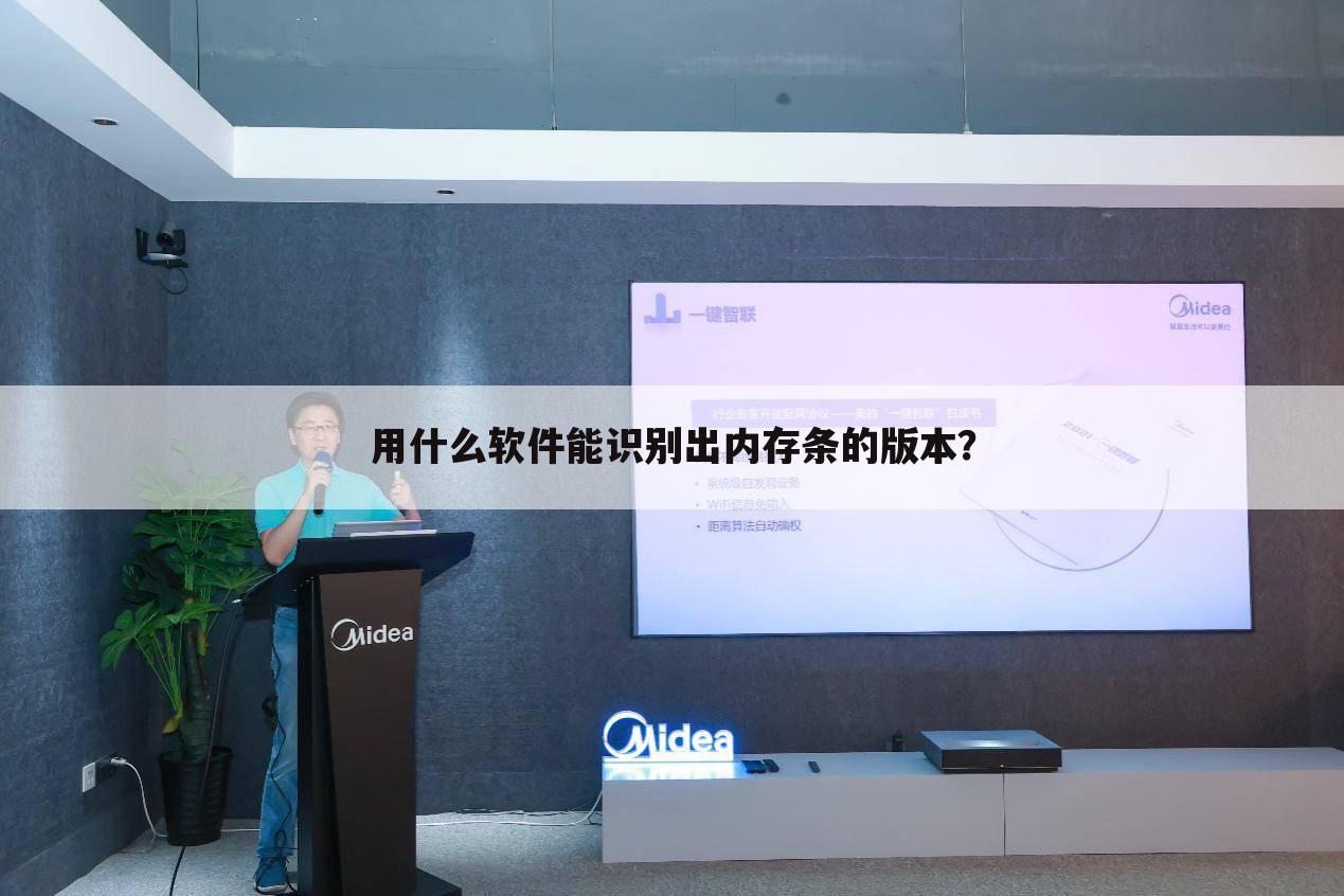 用什么软件能识别出内存条的版本?