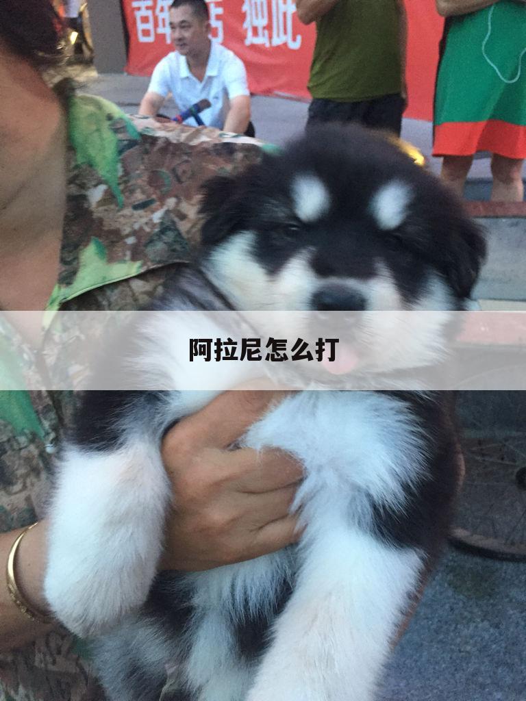 阿拉尼怎么打