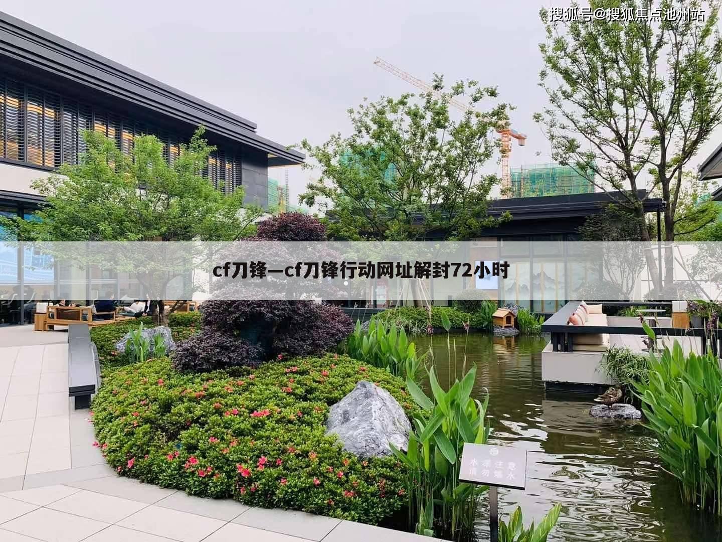 cf刀锋—cf刀锋行动网址解封72小时