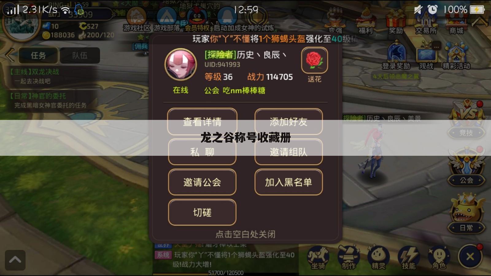 龙之谷称号收藏册