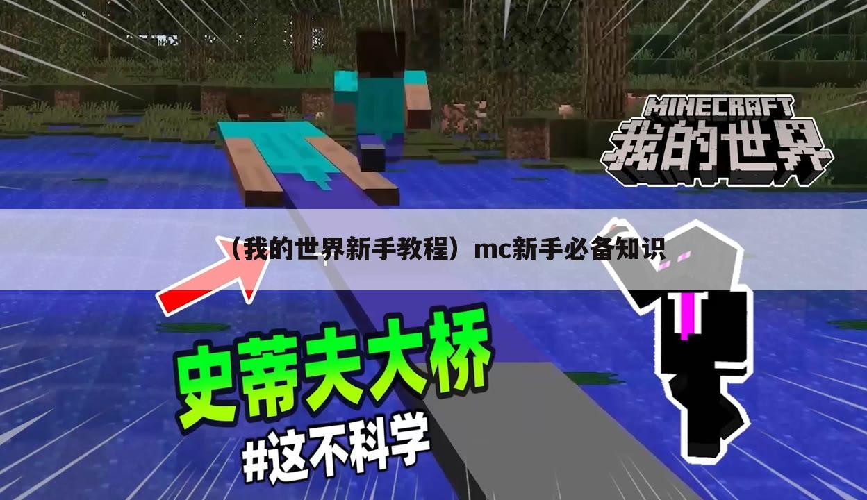 （我的世界新手教程）mc新手必备知识