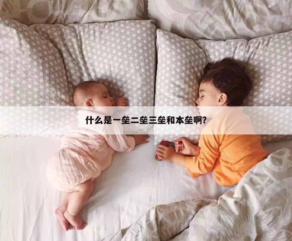什么是一垒二垒三垒和本垒啊?