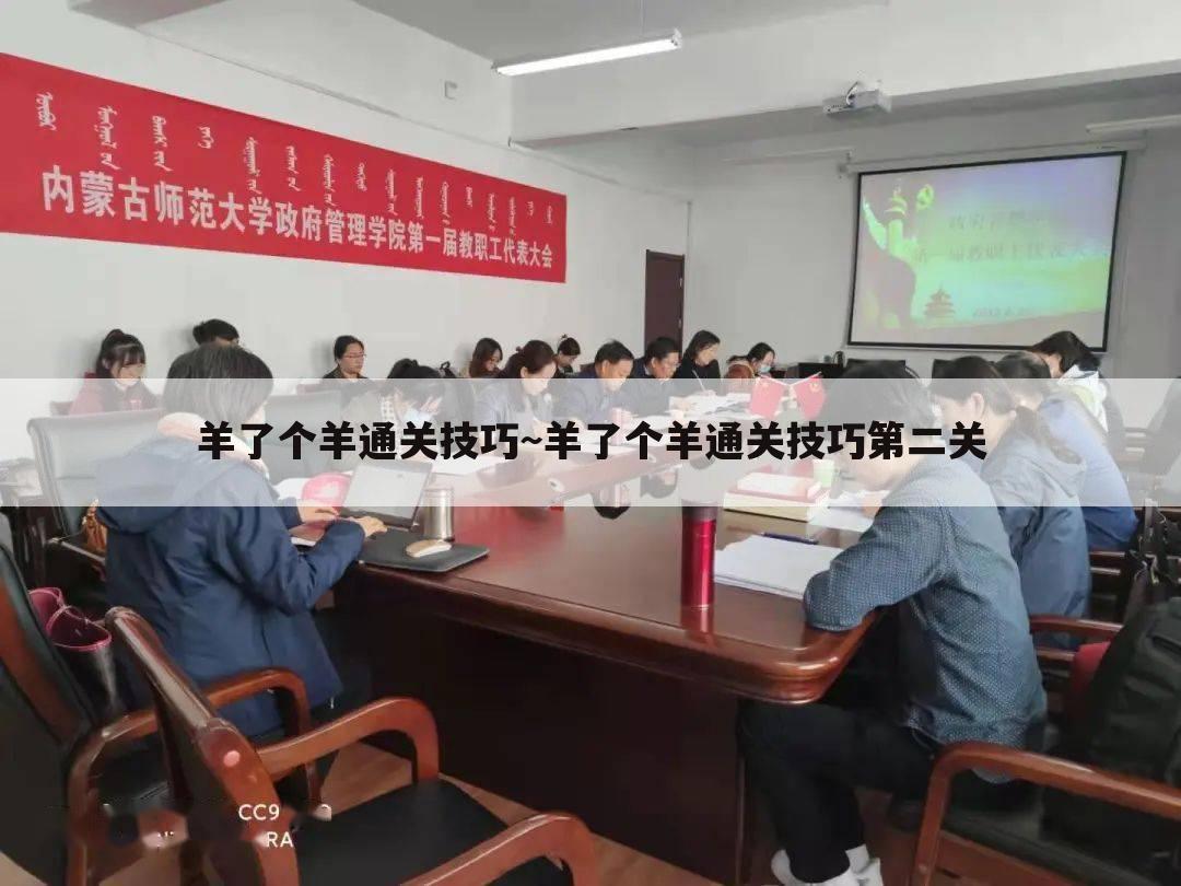 羊了个羊通关技巧~羊了个羊通关技巧第二关