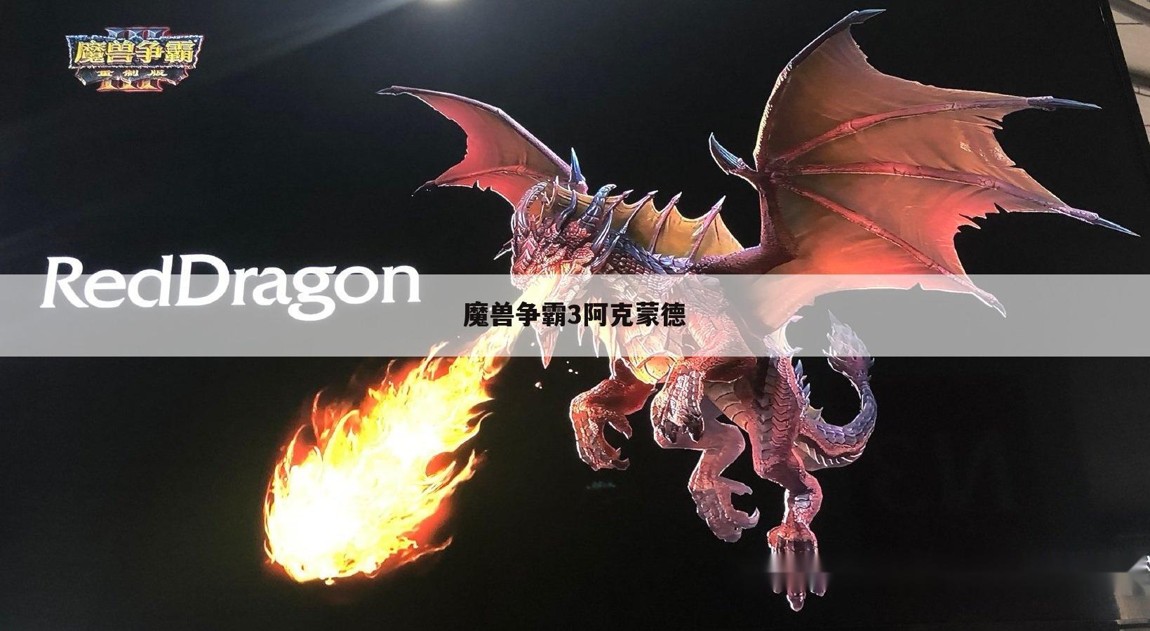 魔兽争霸3阿克蒙德