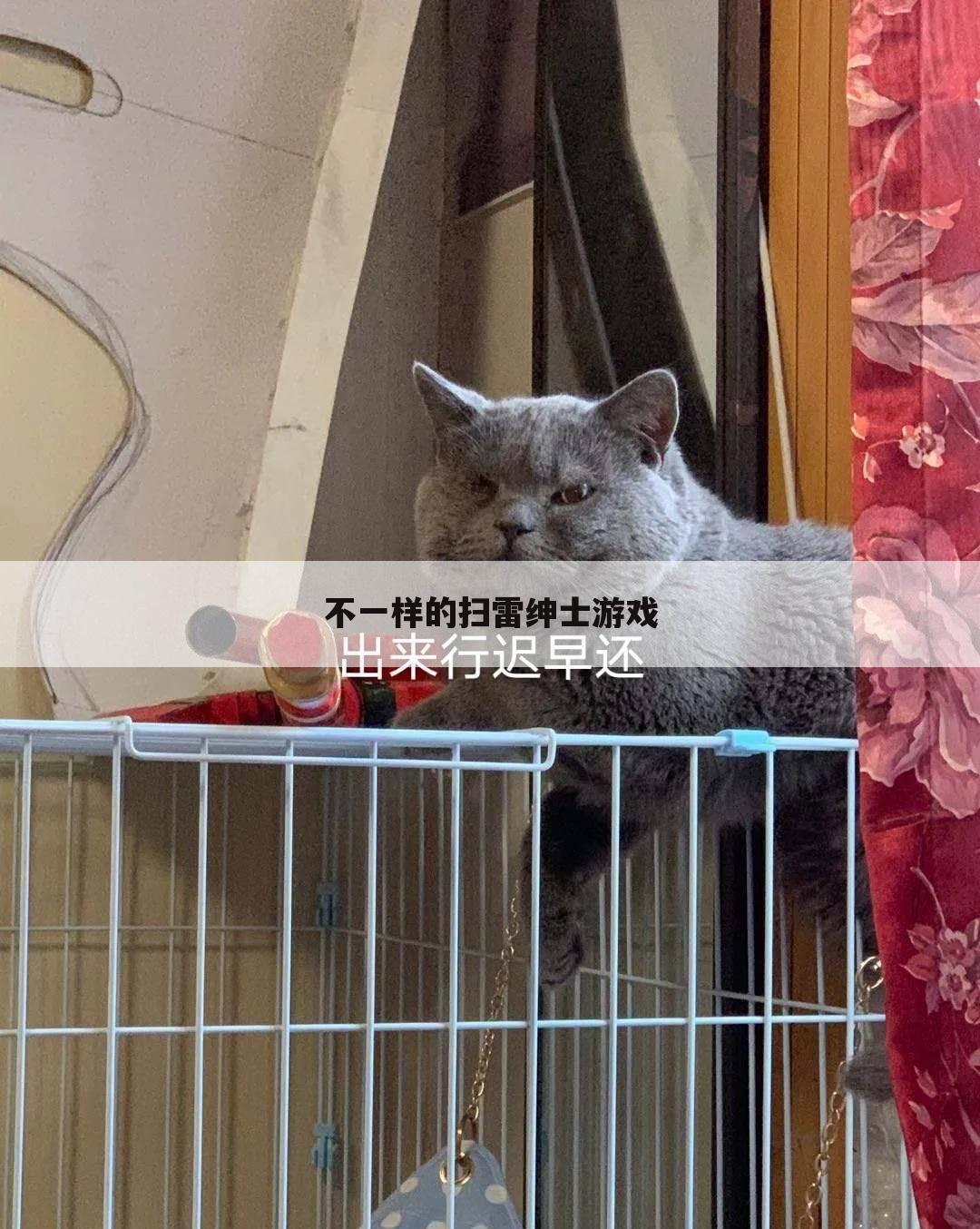不一样的扫雷绅士游戏