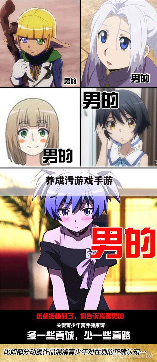 养成污游戏手游