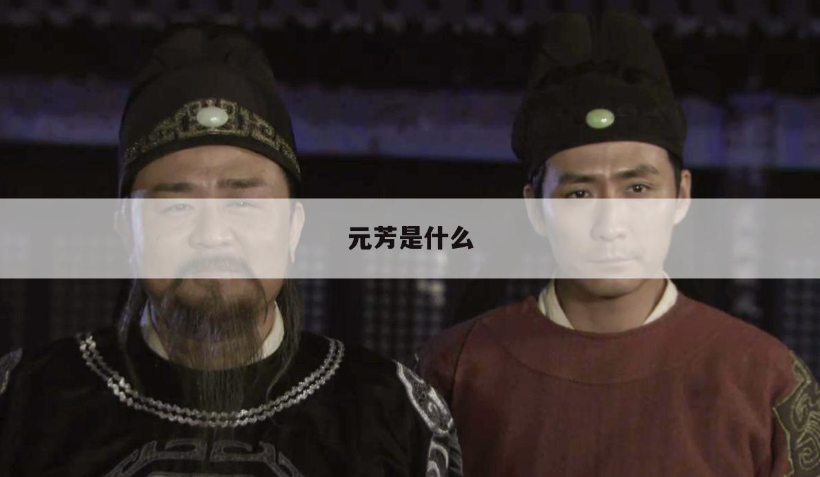 元芳是什么
