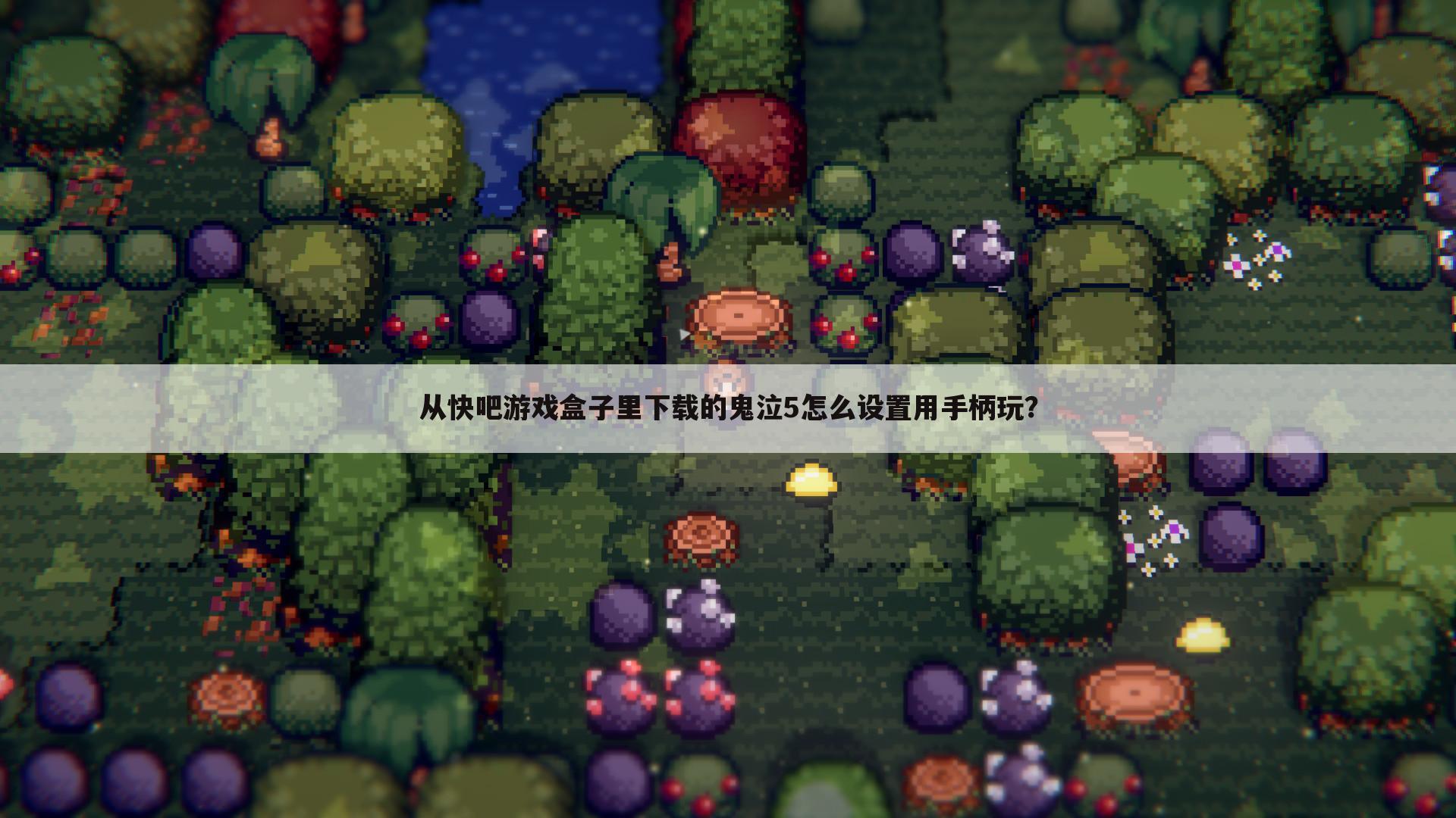 从快吧游戏盒子里下载的鬼泣5怎么设置用手柄玩?