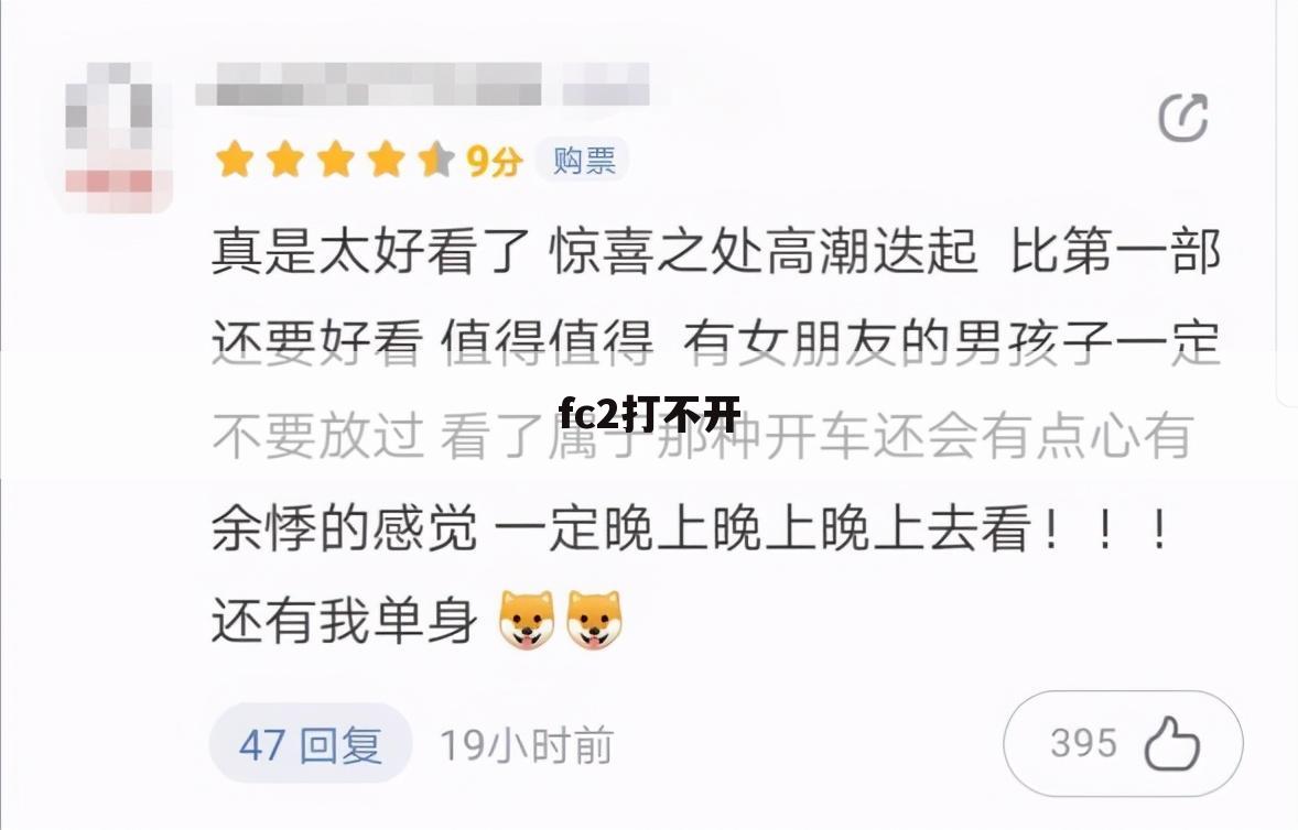 fc2打不开