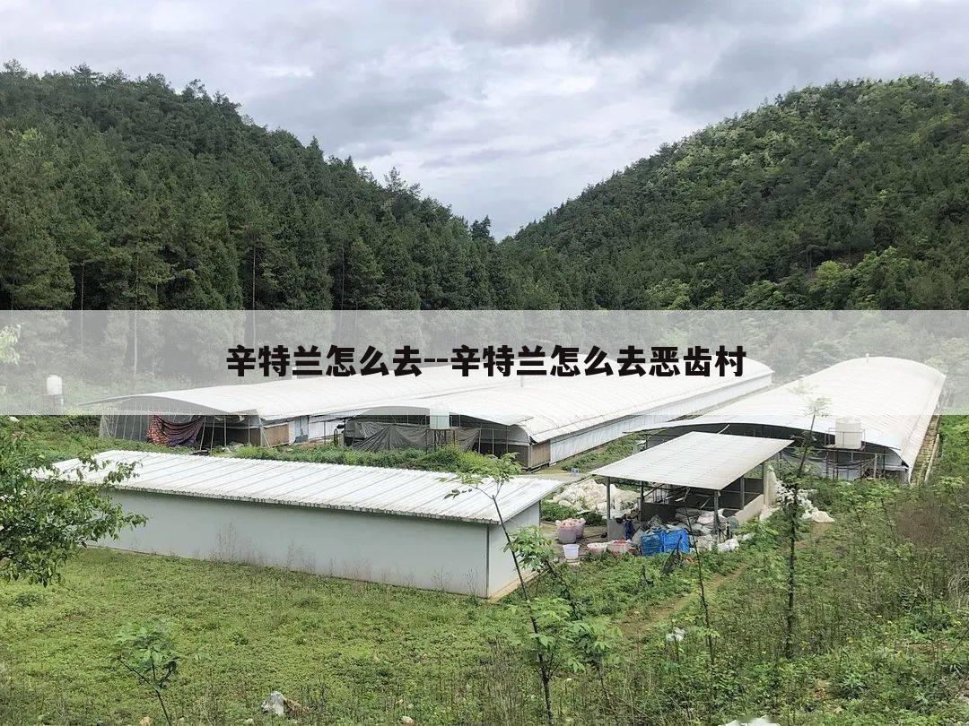 辛特兰怎么去--辛特兰怎么去恶齿村