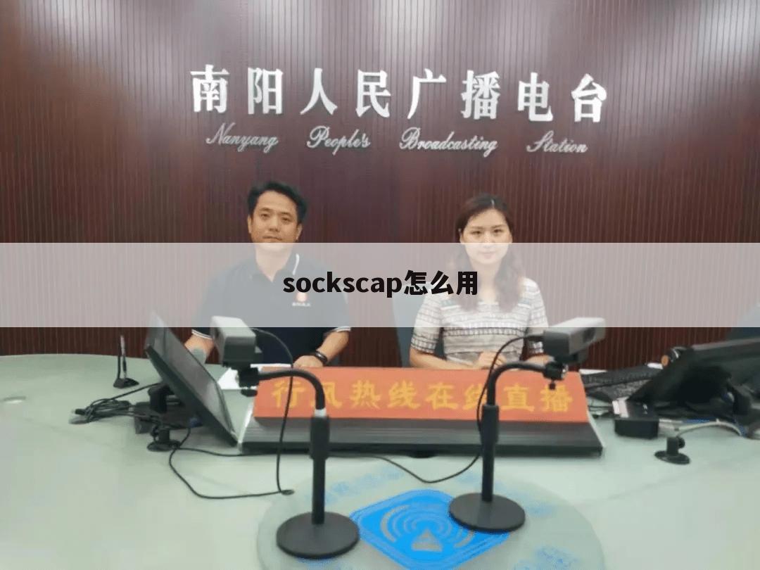 sockscap怎么用