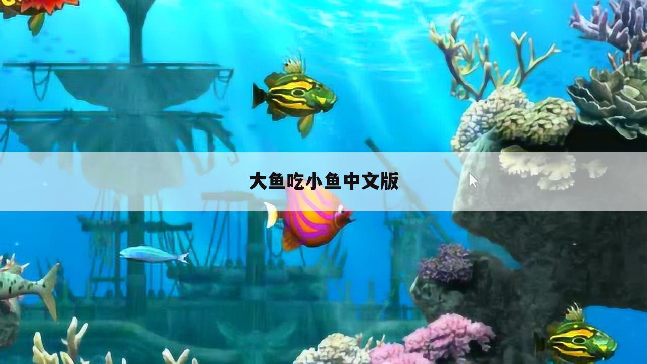 大鱼吃小鱼中文版