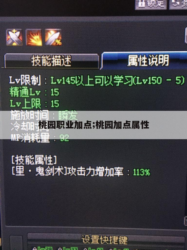 桃园职业加点;桃园加点属性
