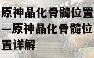 原神晶化骨髓位置—原神晶化骨髓位置详解