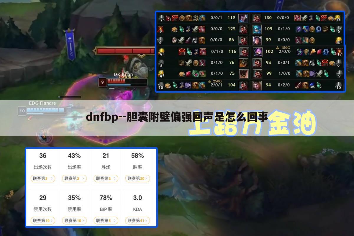 dnfbp--胆囊附壁偏强回声是怎么回事