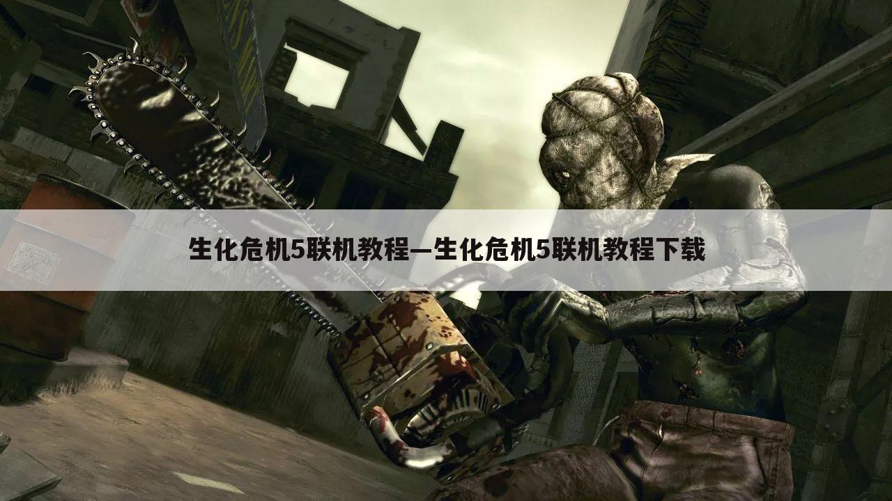 生化危机5联机教程—生化危机5联机教程下载