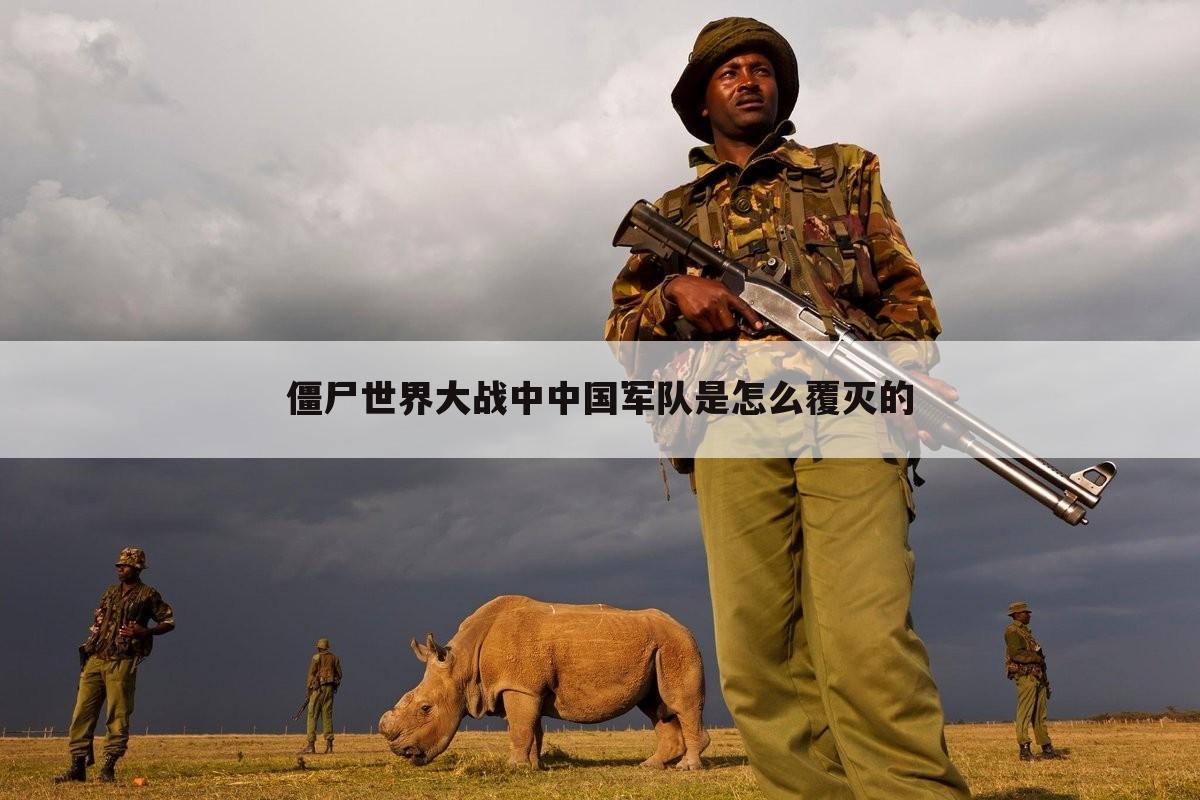 僵尸世界大战中中国军队是怎么覆灭的