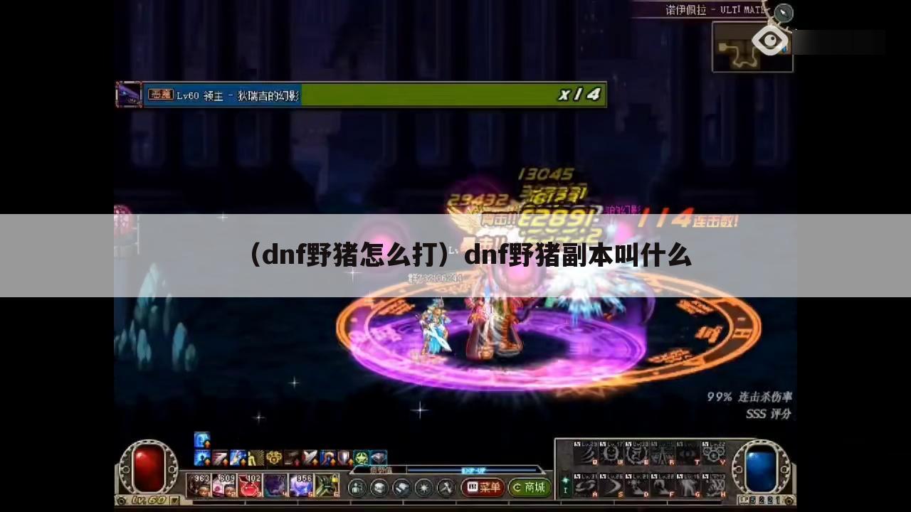 （dnf野猪怎么打）dnf野猪副本叫什么