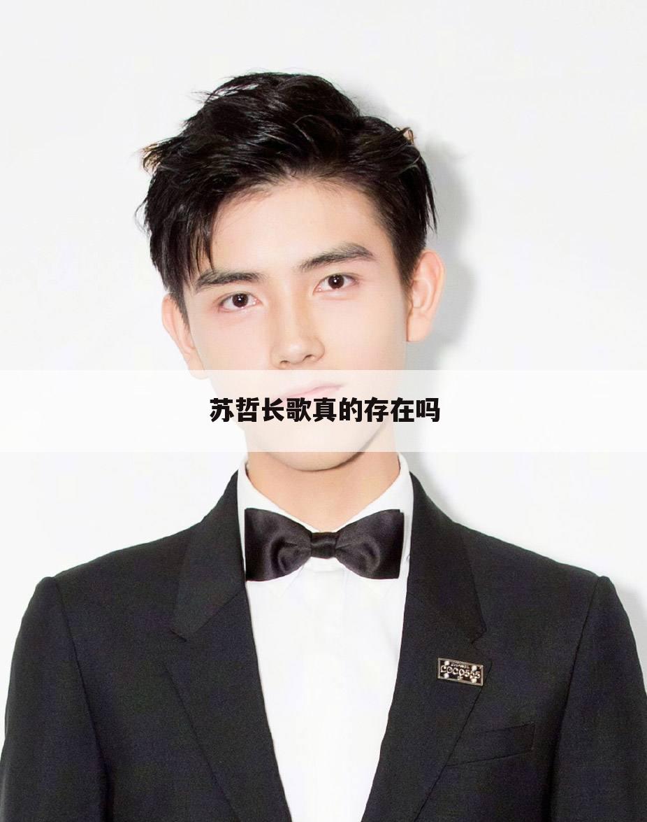 苏哲长歌真的存在吗