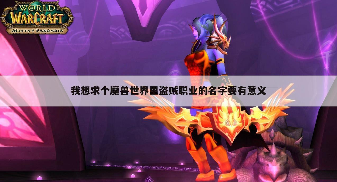 我想求个魔兽世界里盗贼职业的名字要有意义