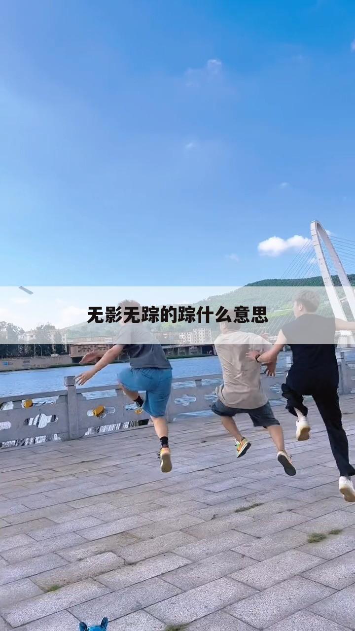 无影无踪的踪什么意思