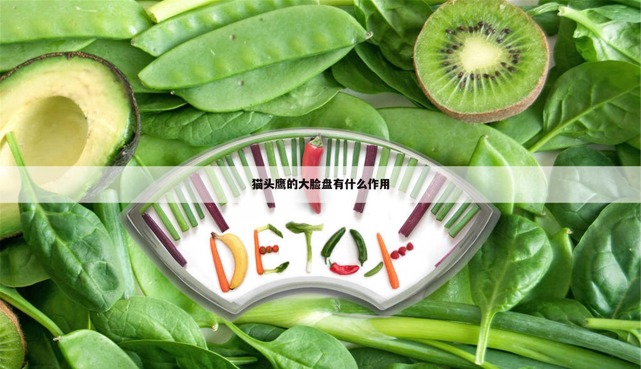 猫头鹰的大脸盘有什么作用