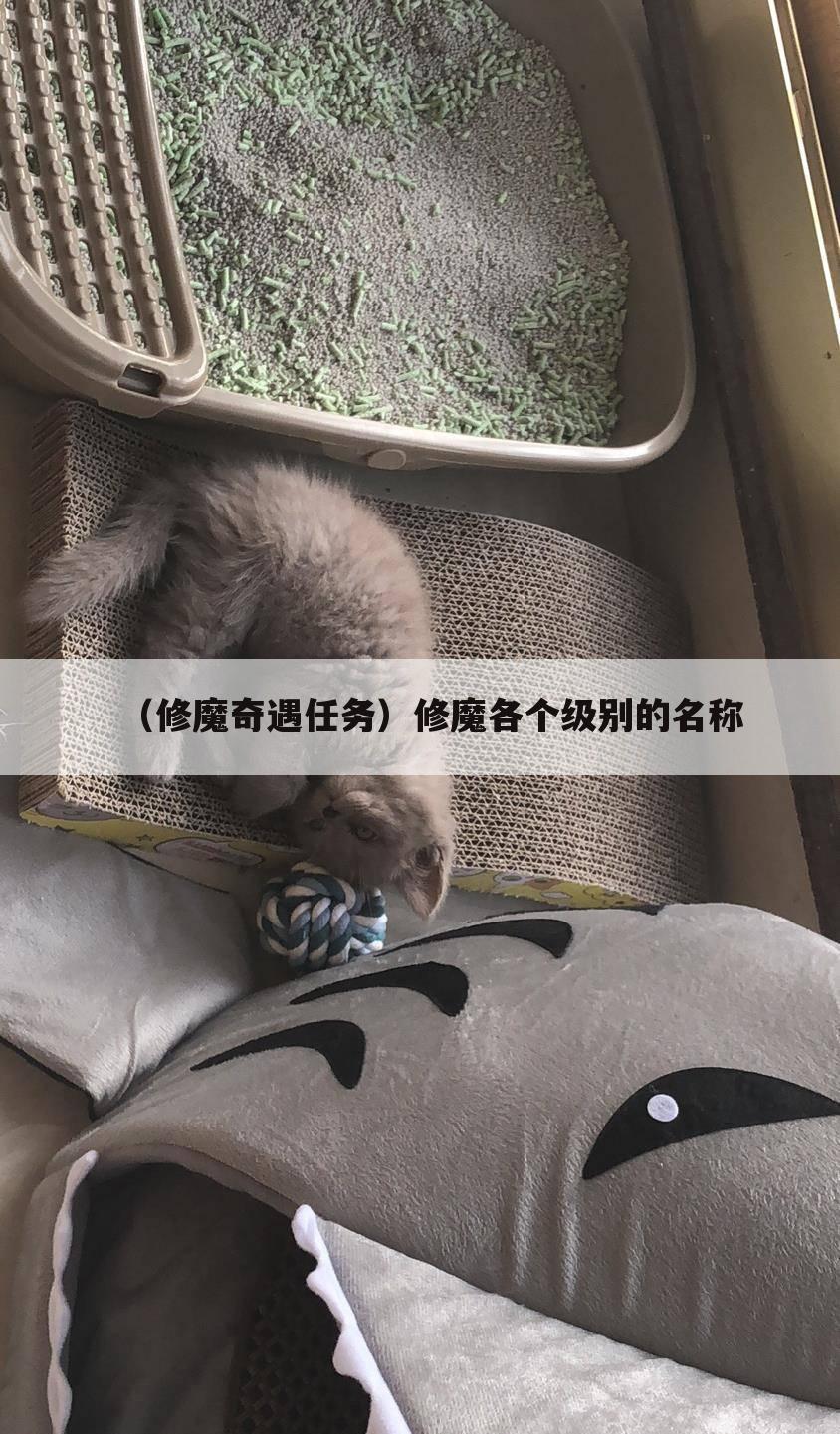 （修魔奇遇任务）修魔各个级别的名称