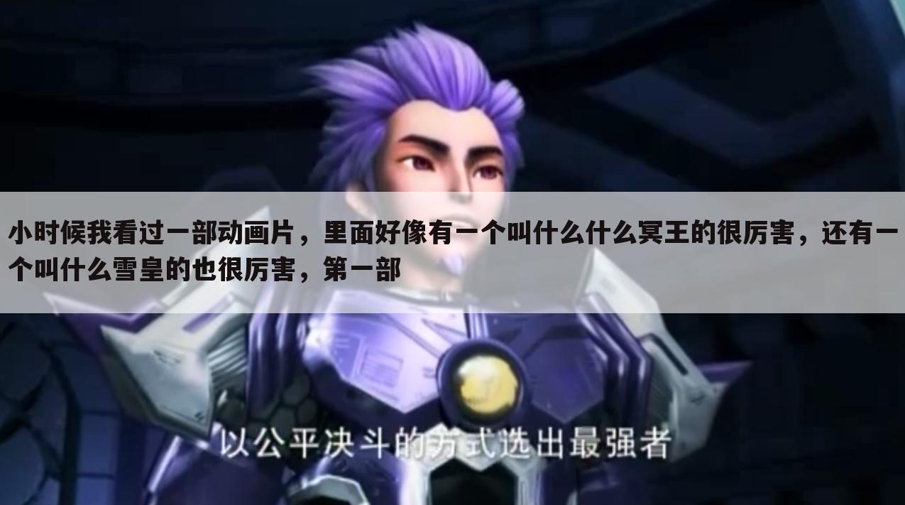 小时候我看过一部动画片,里面好像有一个叫什么什么冥王的很厉害,还有一个叫什么雪皇的也很厉害,第一部
