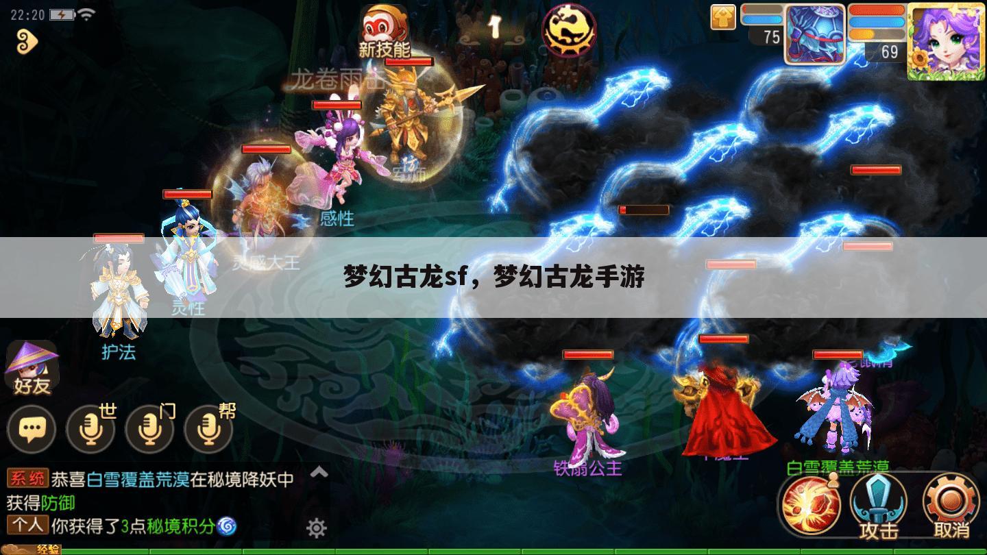 梦幻古龙sf，梦幻古龙手游