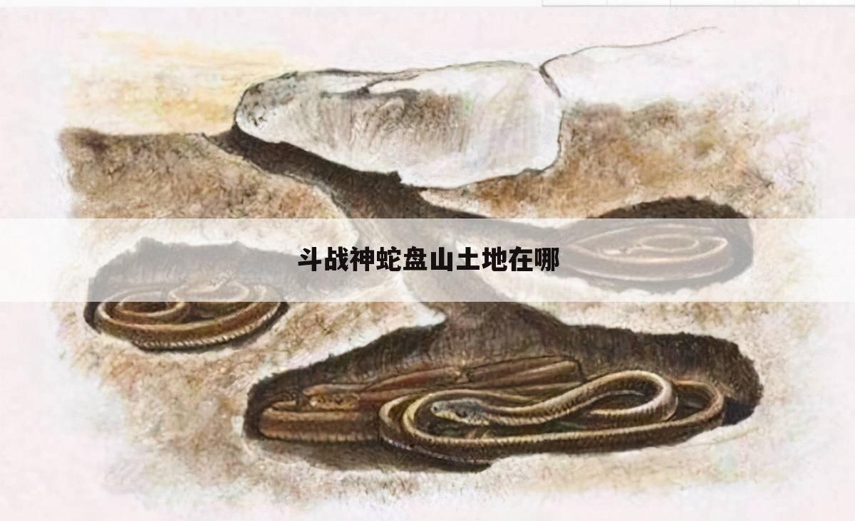 斗战神蛇盘山土地在哪