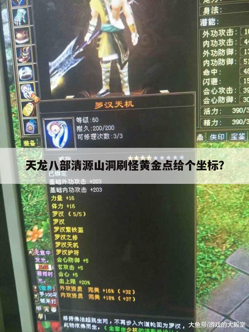 天龙八部清源山洞刷怪黄金点给个坐标?