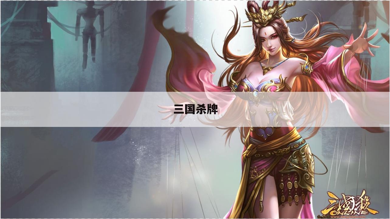 三国杀牌