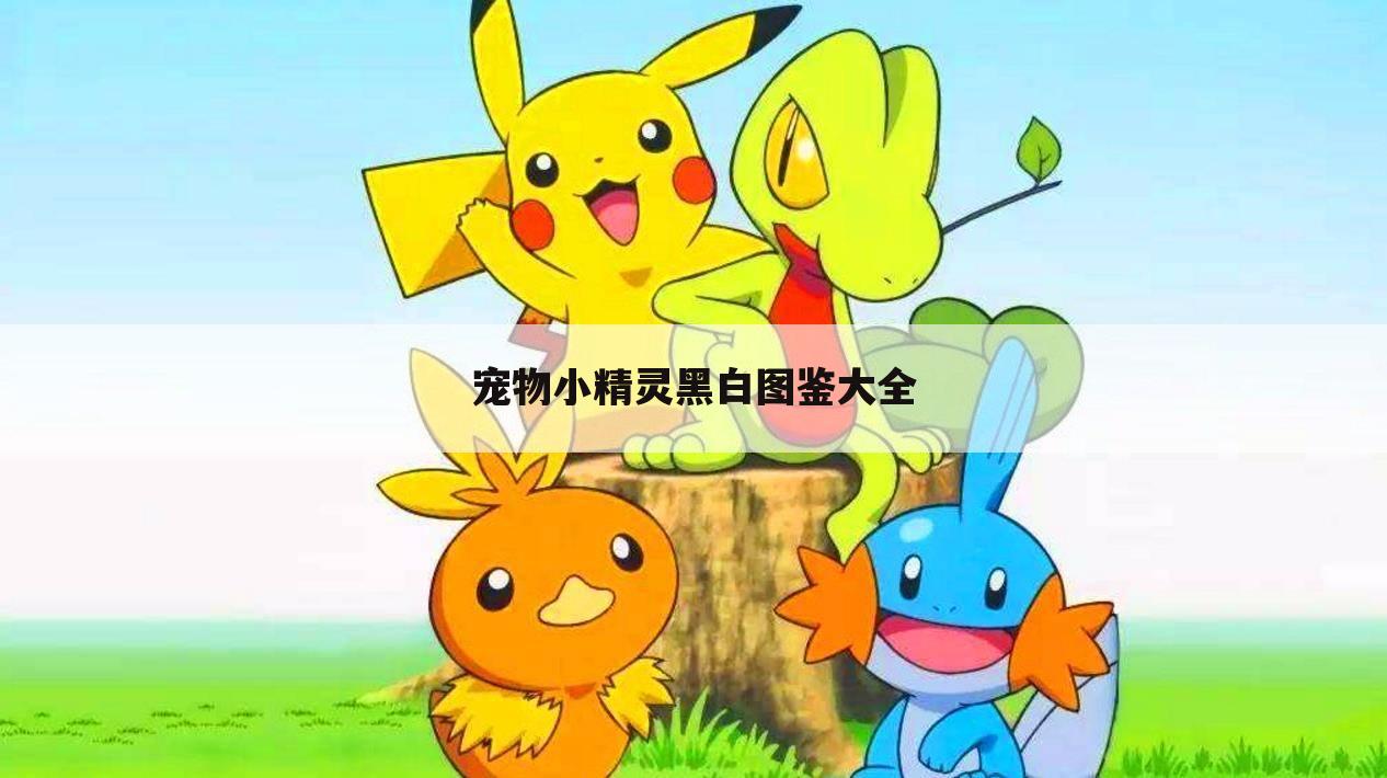 宠物小精灵黑白图鉴大全