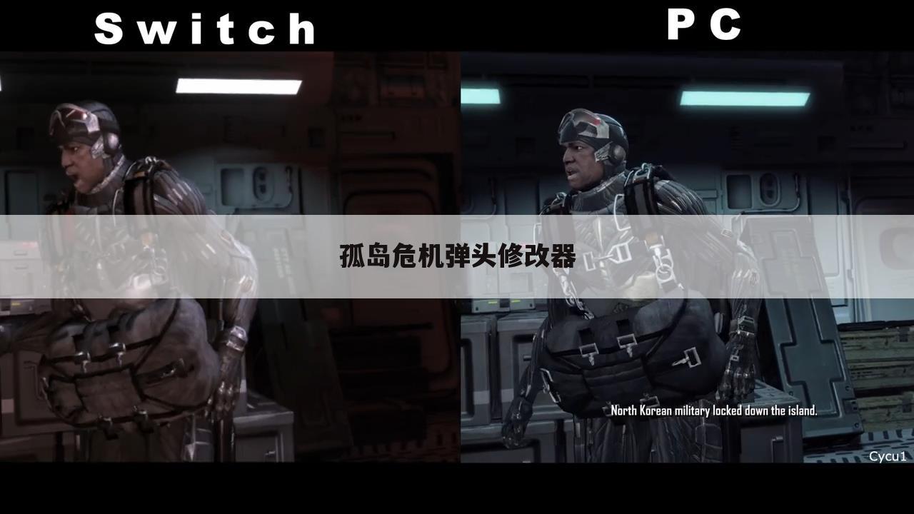 孤岛危机弹头修改器