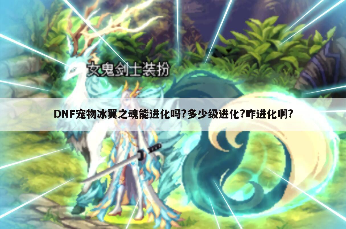 DNF宠物冰翼之魂能进化吗?多少级进化?咋进化啊?