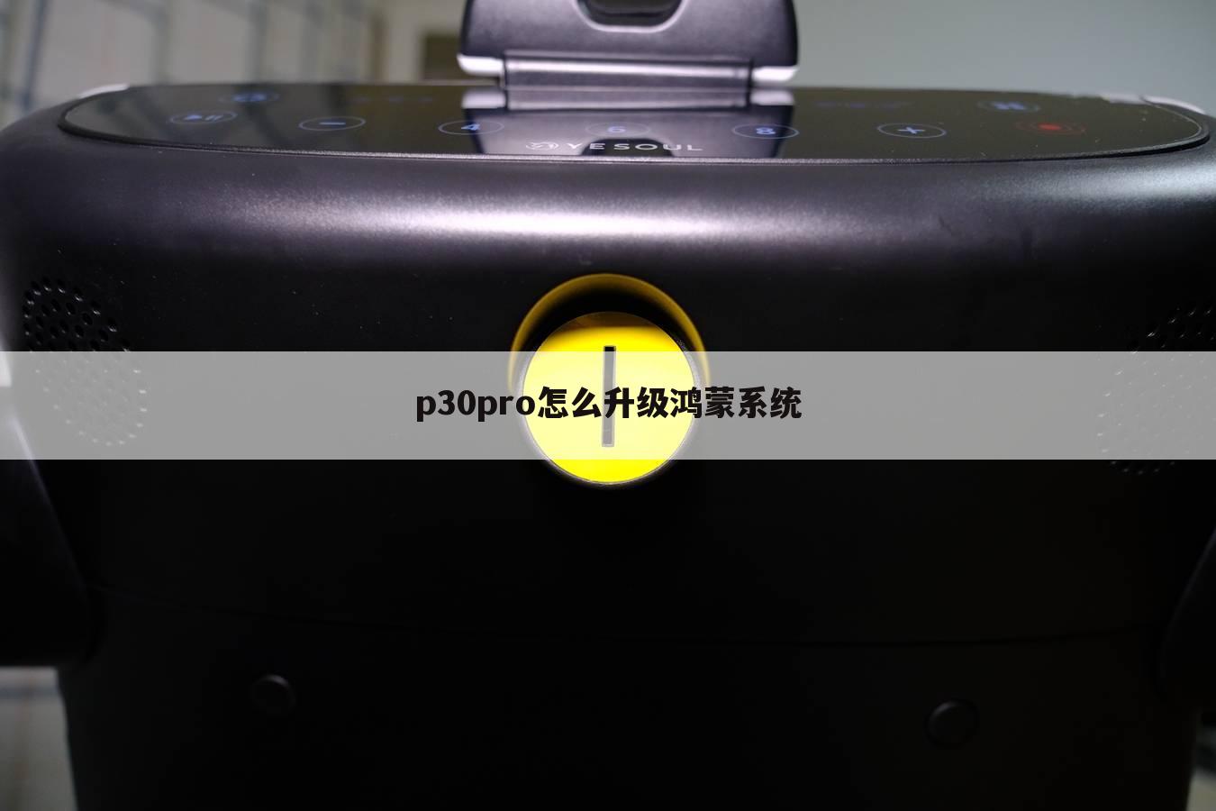 p30pro怎么升级鸿蒙系统