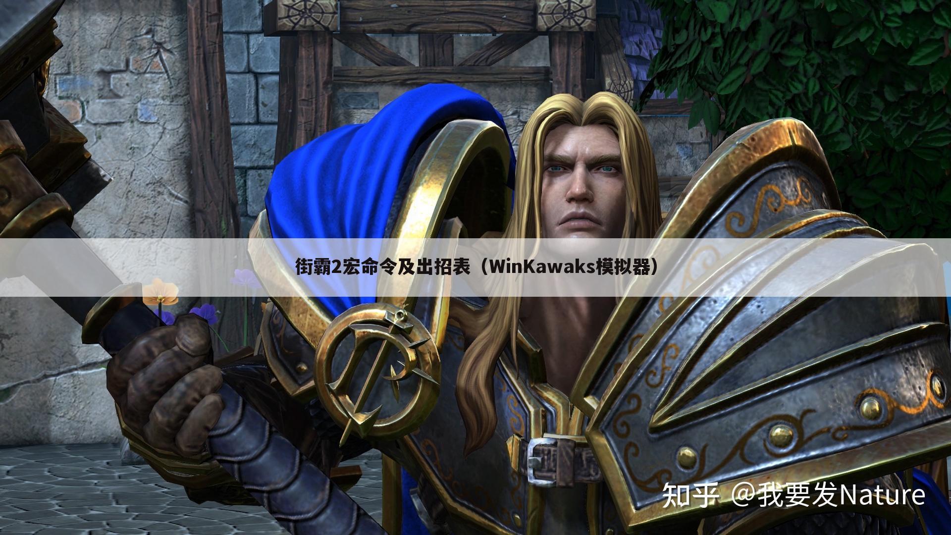 街霸2宏命令及出招表(WinKawaks模拟器)