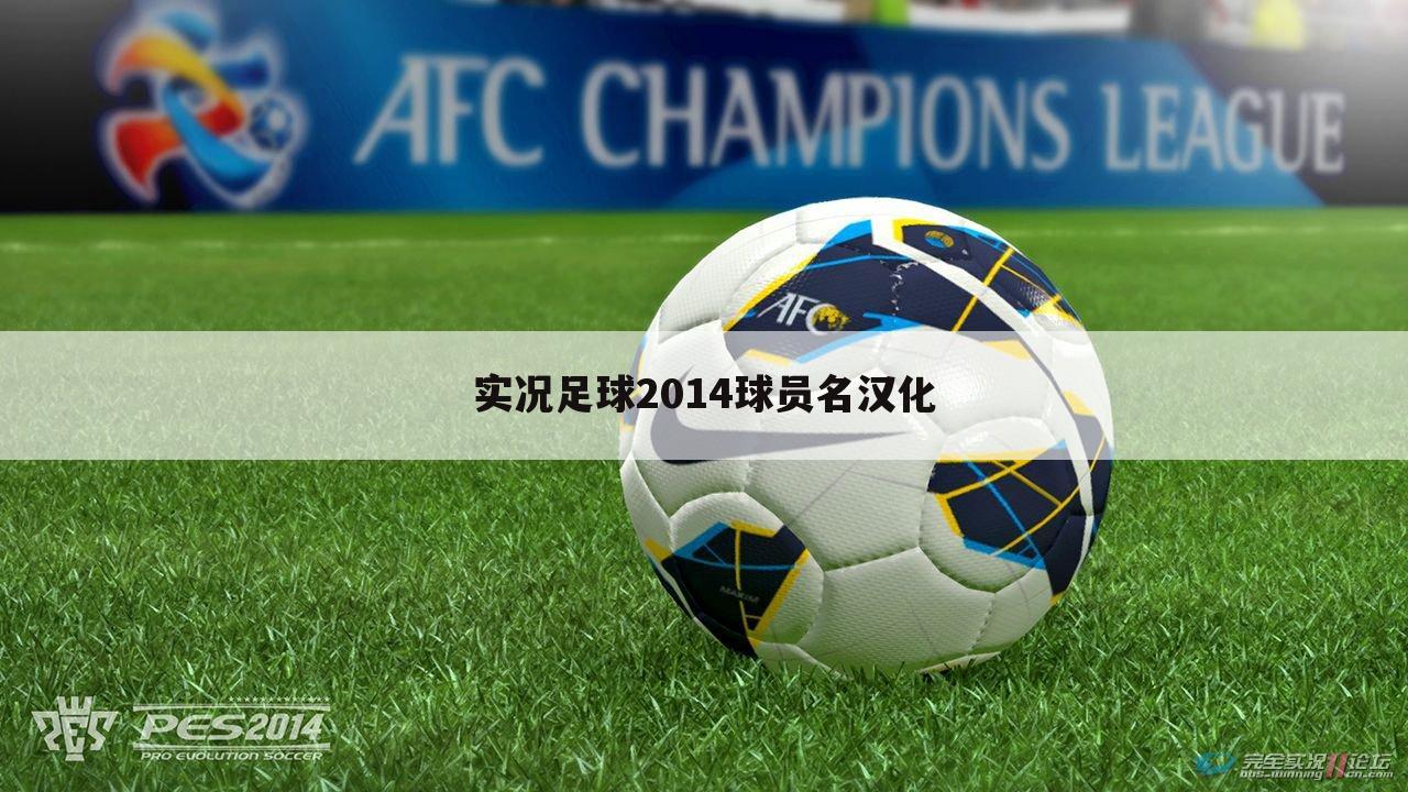 实况足球2014球员名汉化