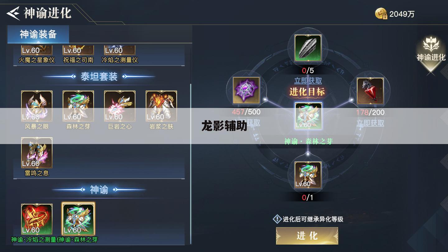 龙影辅助