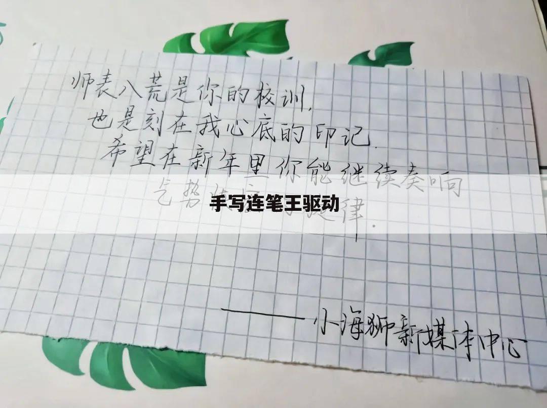 手写连笔王驱动