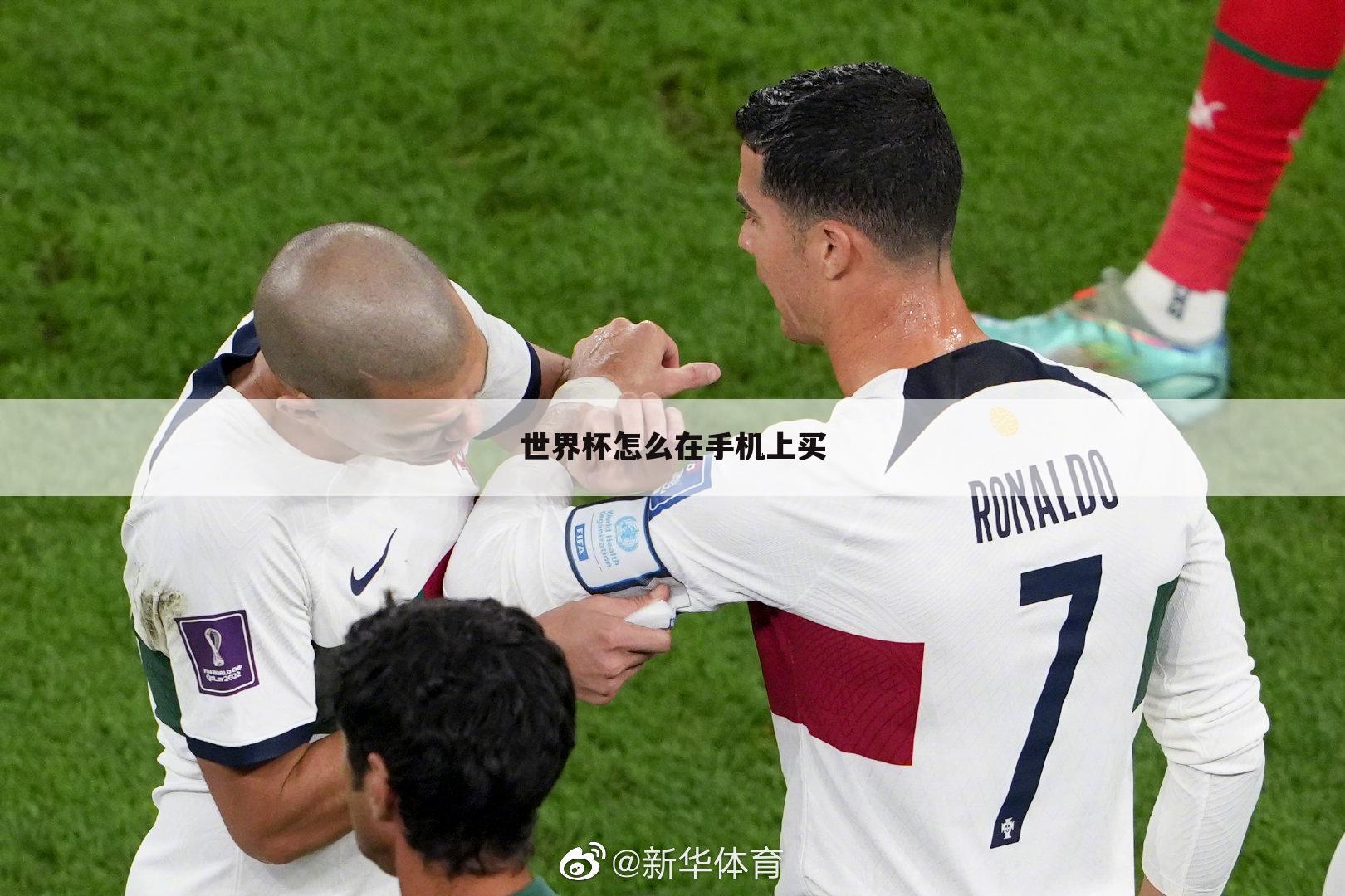 世界杯怎么在手机上买