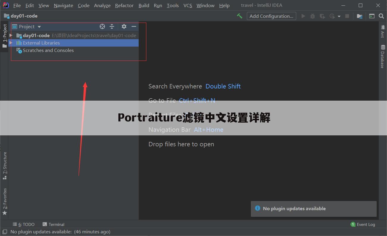 Portraiture滤镜中文设置详解