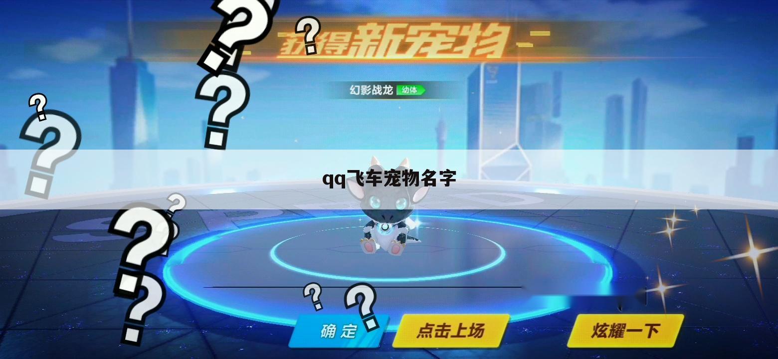 qq飞车宠物名字
